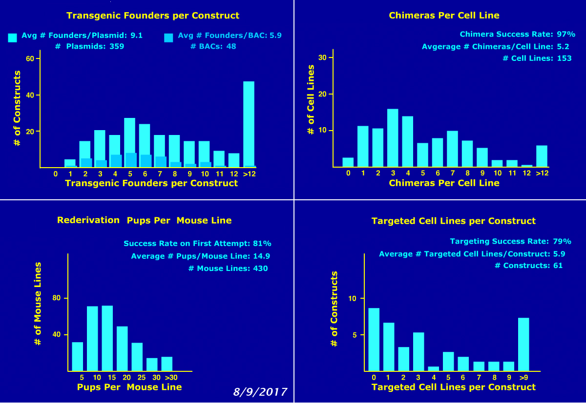 success rates